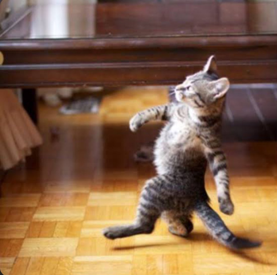 BenonSenior tweet media