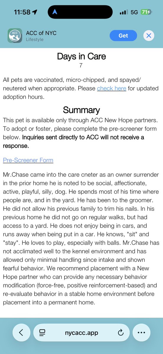 TheDobermanGuy tweet media