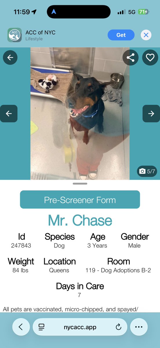 TheDobermanGuy tweet media