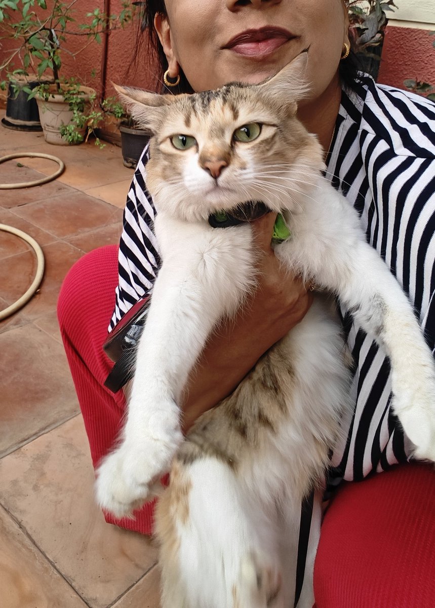 Choo🌸 tweet media