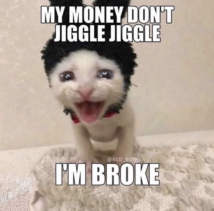 Jonowono7's tweet photo. @FortunateFolk PLEASE literally me rn if you even care https://t.co/tPSMjGmwIc