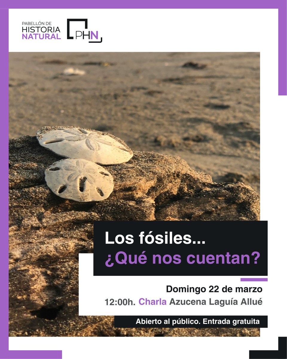 Pabellón Historia Natural de la UAL tweet media