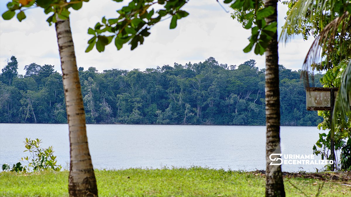 Suriname Decentralized 🇸🇷 tweet media