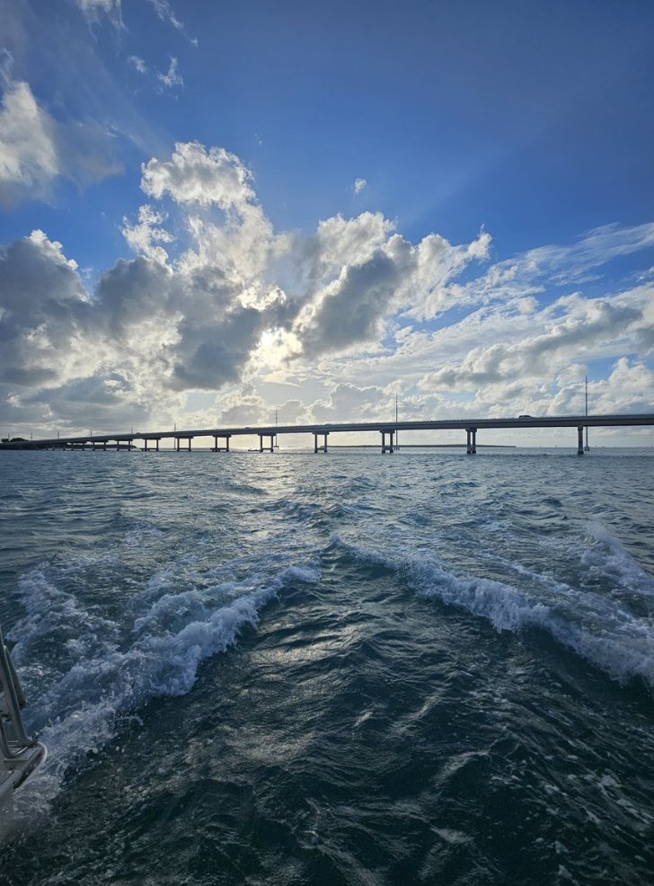 Southern Grace 🔥✨ tweet media