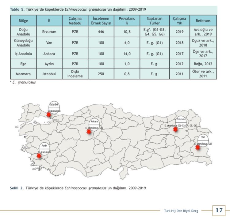 Fatih Sezer tweet media