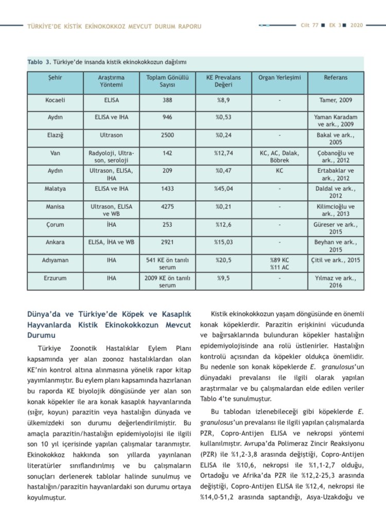 Fatih Sezer tweet media