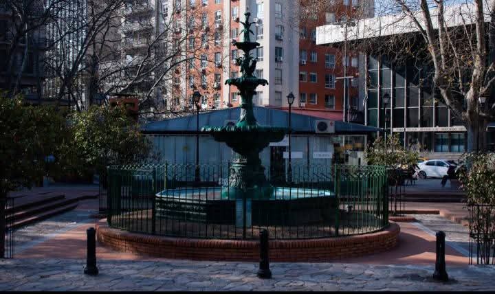 Silvana De Francesco tweet media