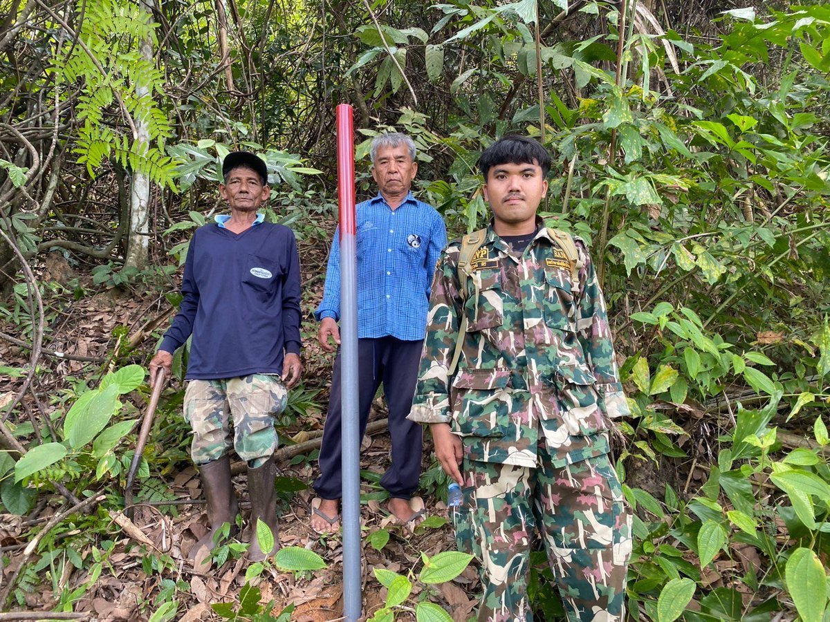 กรมอุทยานแห่งชาติ สัตว์ป่า และพันธุ์พืช tweet media