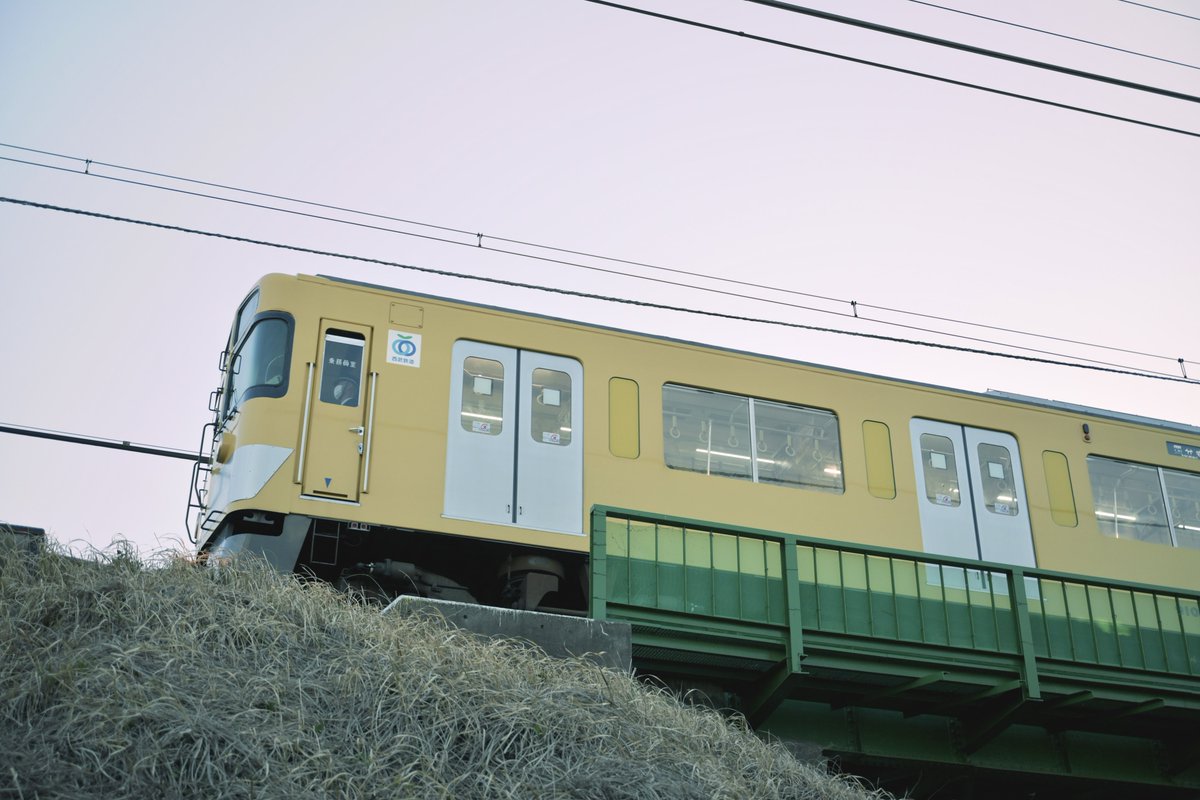 y.📸 (@pic_album00) on Twitter photo 