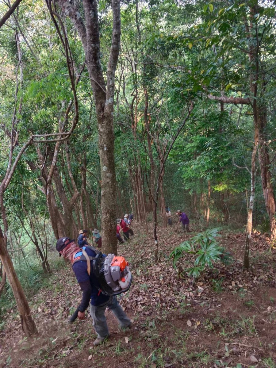 กรมอุทยานแห่งชาติ สัตว์ป่า และพันธุ์พืช tweet media