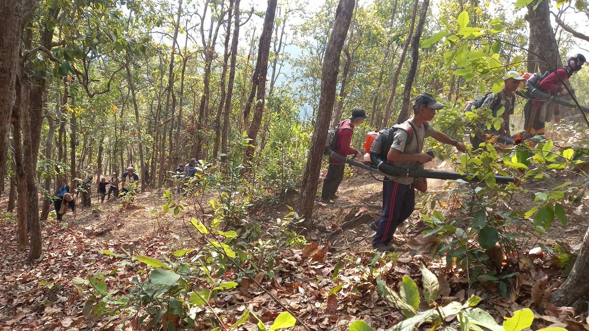 กรมอุทยานแห่งชาติ สัตว์ป่า และพันธุ์พืช tweet media