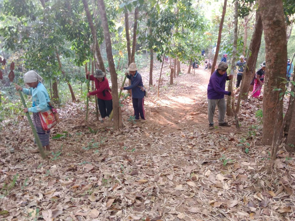 กรมอุทยานแห่งชาติ สัตว์ป่า และพันธุ์พืช tweet media