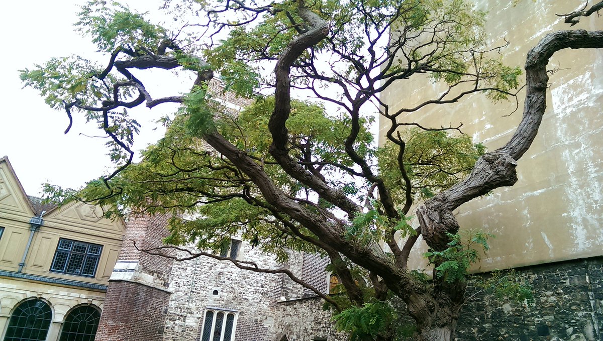 Richard Geraint Evans tweet media