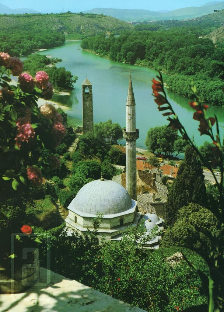 Yugoslavian Visuals tweet media