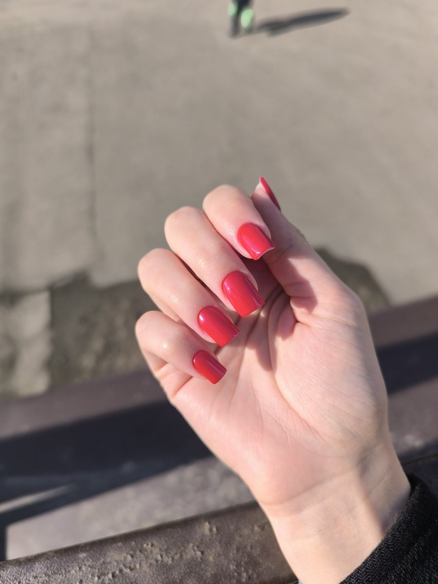 голубой ёж tweet media