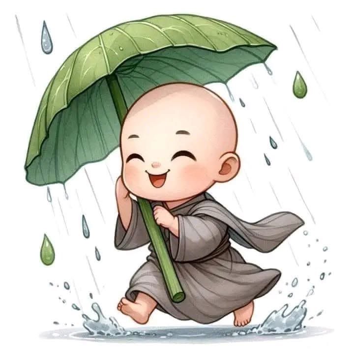 青旻居士 tweet media