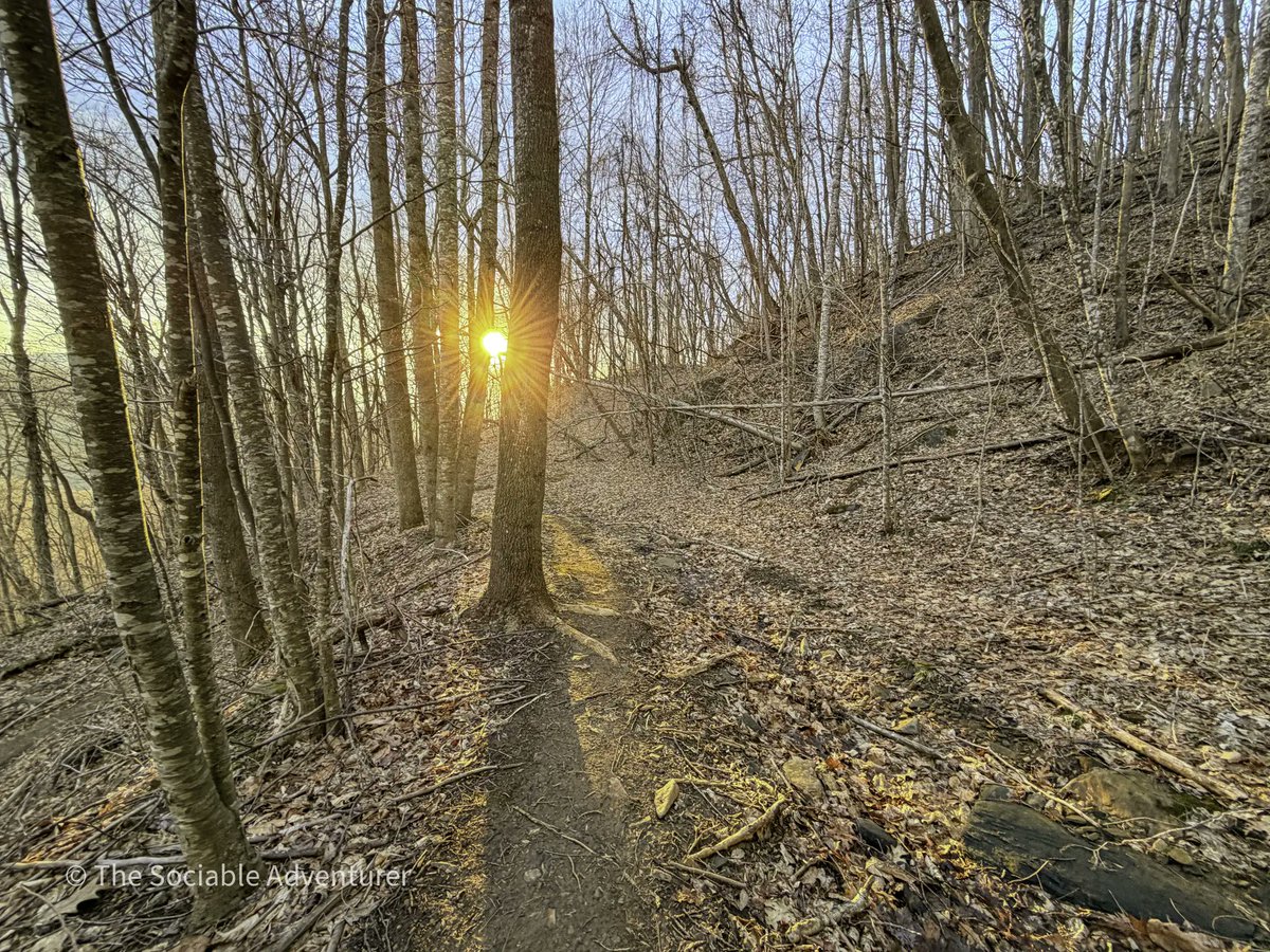 The Sociable Adventurer tweet media