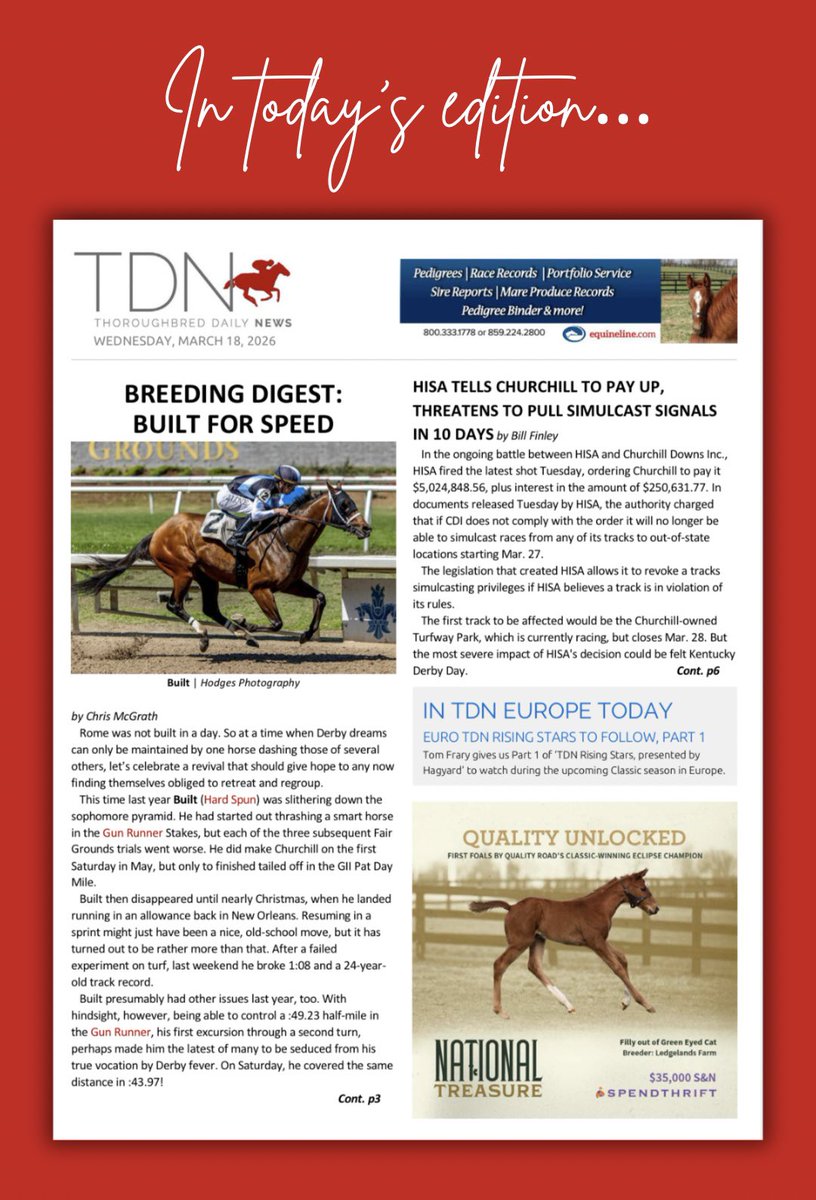 TDN tweet media
