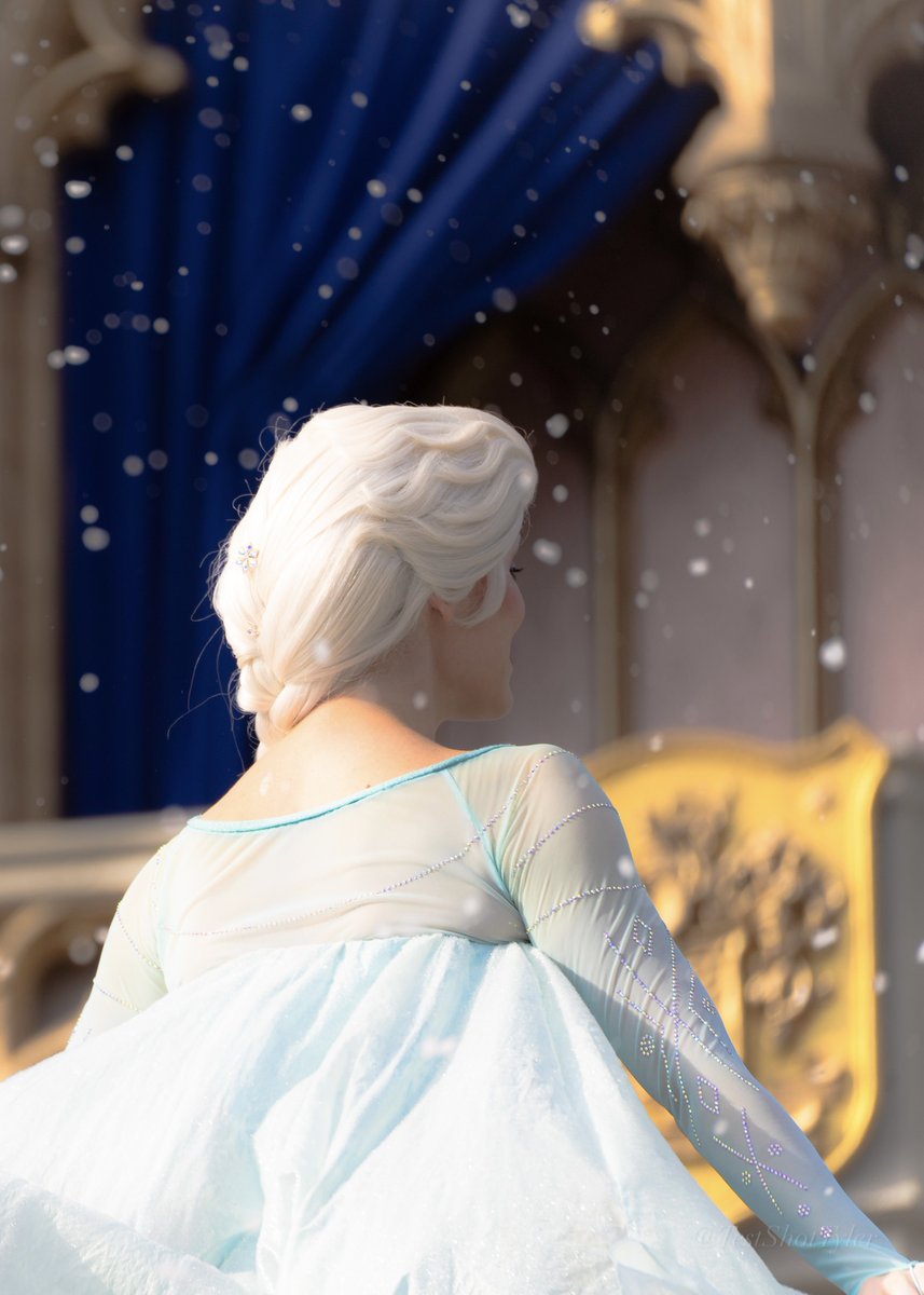 Test Shot Tyler tweet media