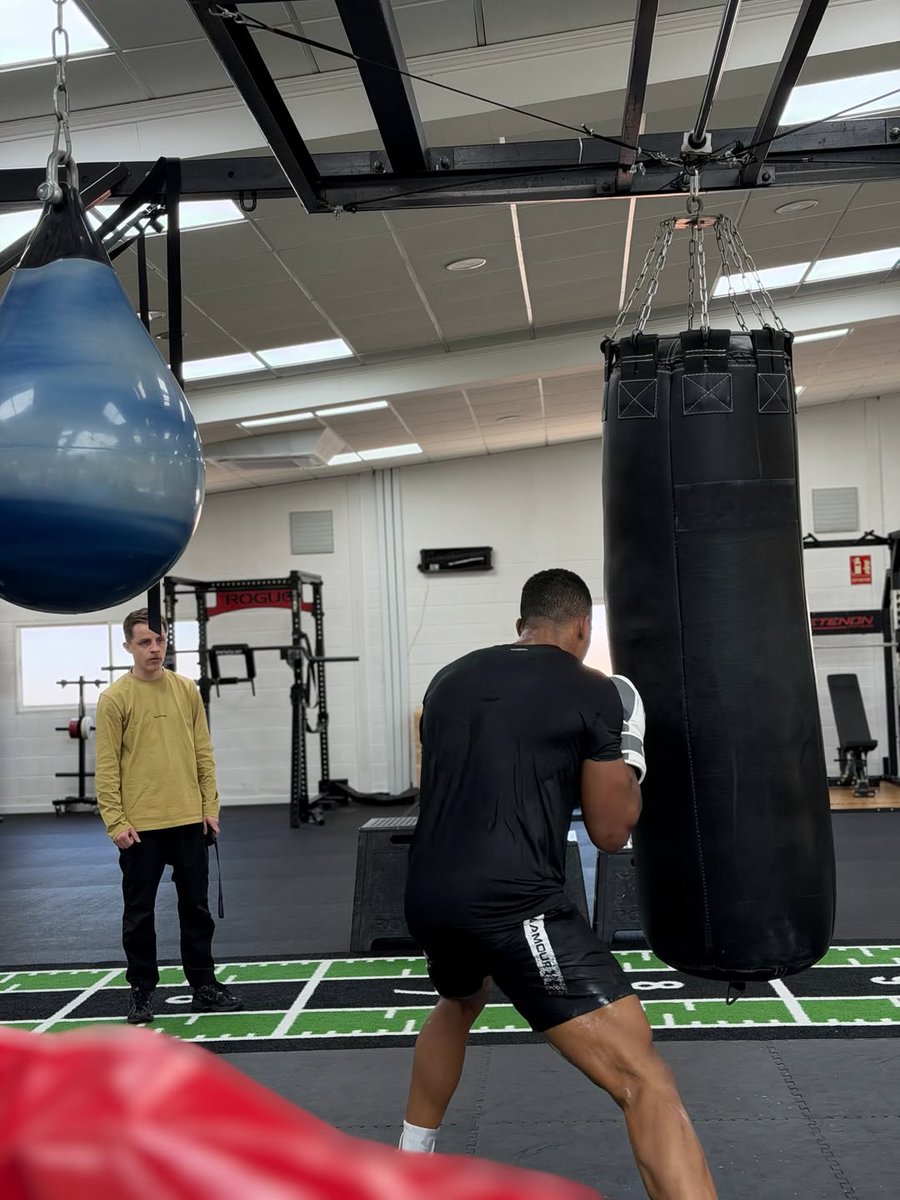 JuliusJulianis tweet media