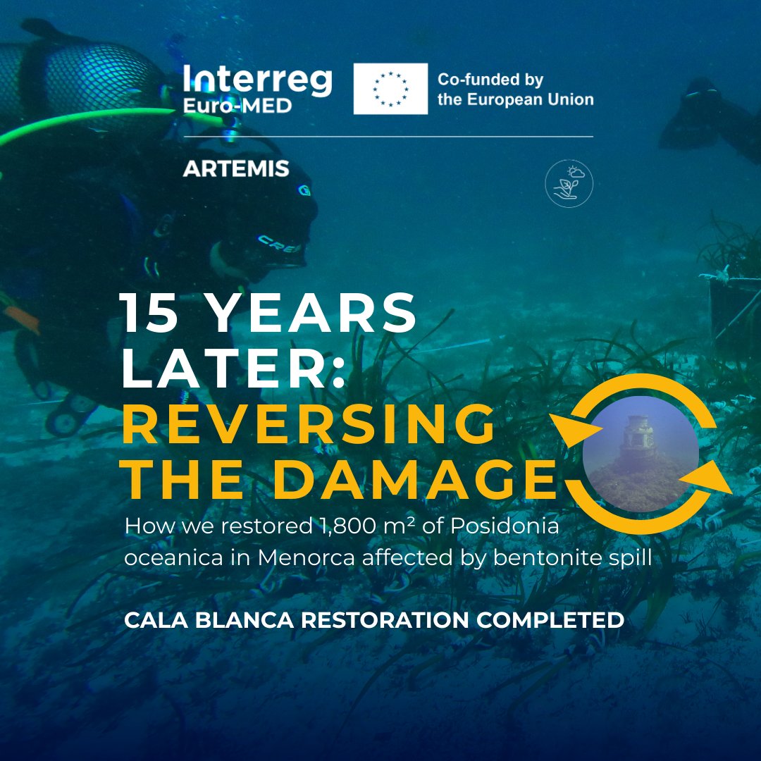 MED_Artemis's tweet photo. Healing a 15-year-old wound! 🌊✨

Through the #ARTEMIS Project, we’ve restored 1,800 m² of Posidonia in #Menorca, destroyed by a spill in 2011. After a decade as an "underwater desert," life returns to Cala Blanca. 

Congrats to the team! 👏

Full story: https://t.co/jMlHmTpCuw https://t.co/z1mZbZHCtD