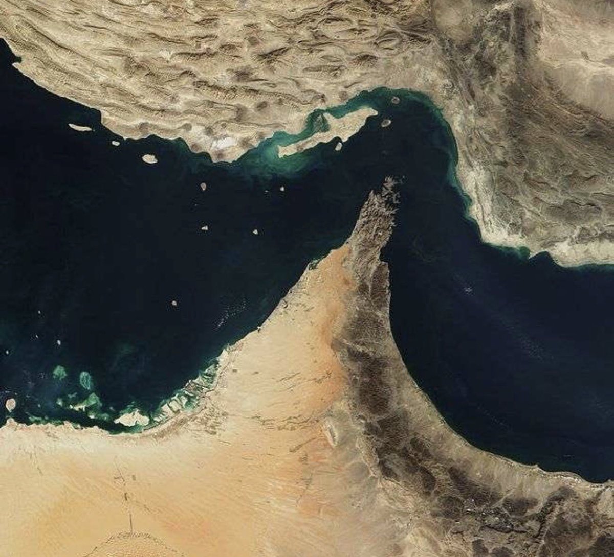 Jhonf Fonseca tweet media