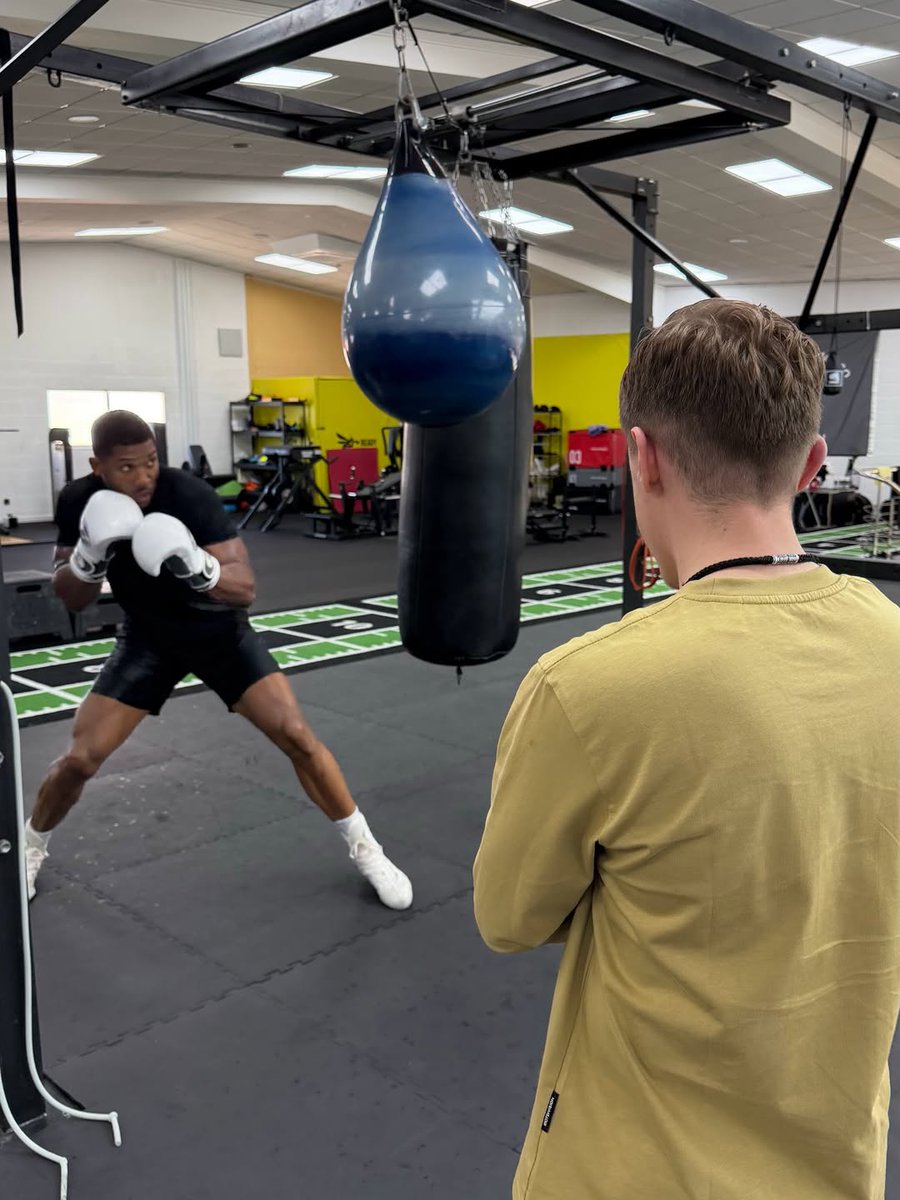 JuliusJulianis tweet media