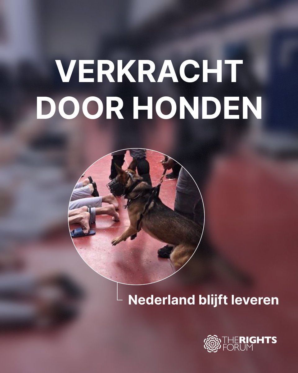 The Rights Forum tweet media