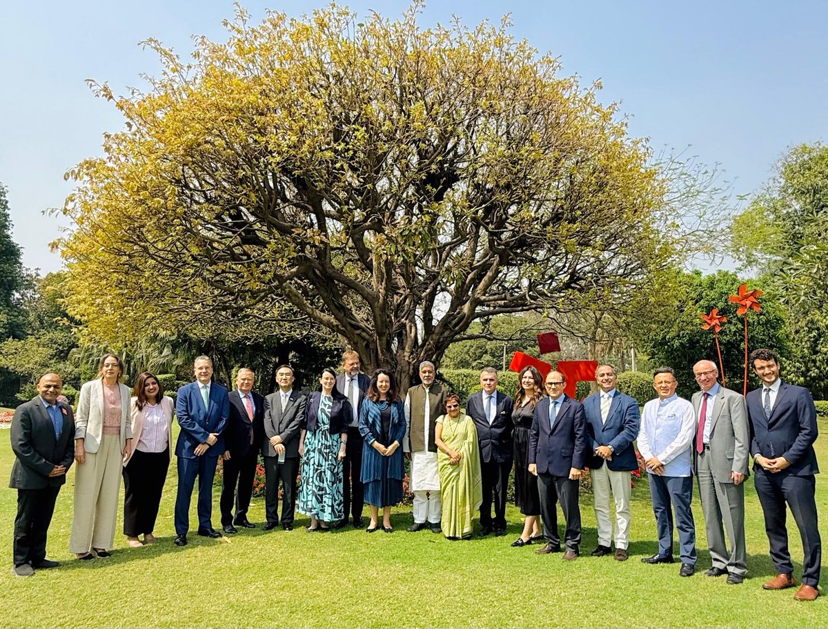 Maya Tissafi tweet media