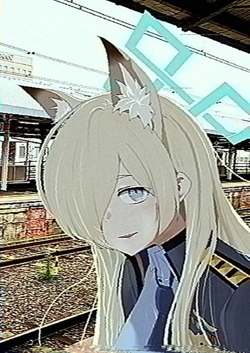 ねこざる tweet media