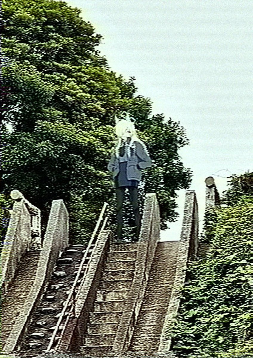 ねこざる tweet media