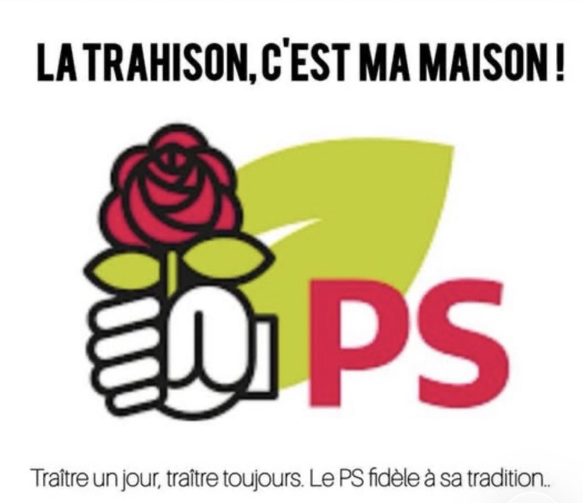 Amabilis31 tweet media