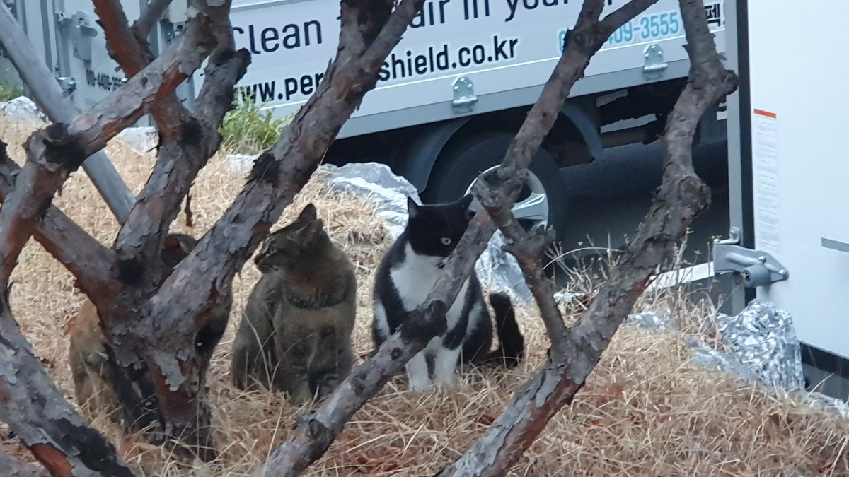 클리크 tweet media