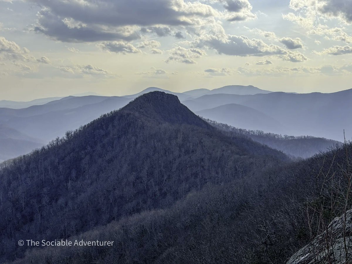 The Sociable Adventurer tweet media