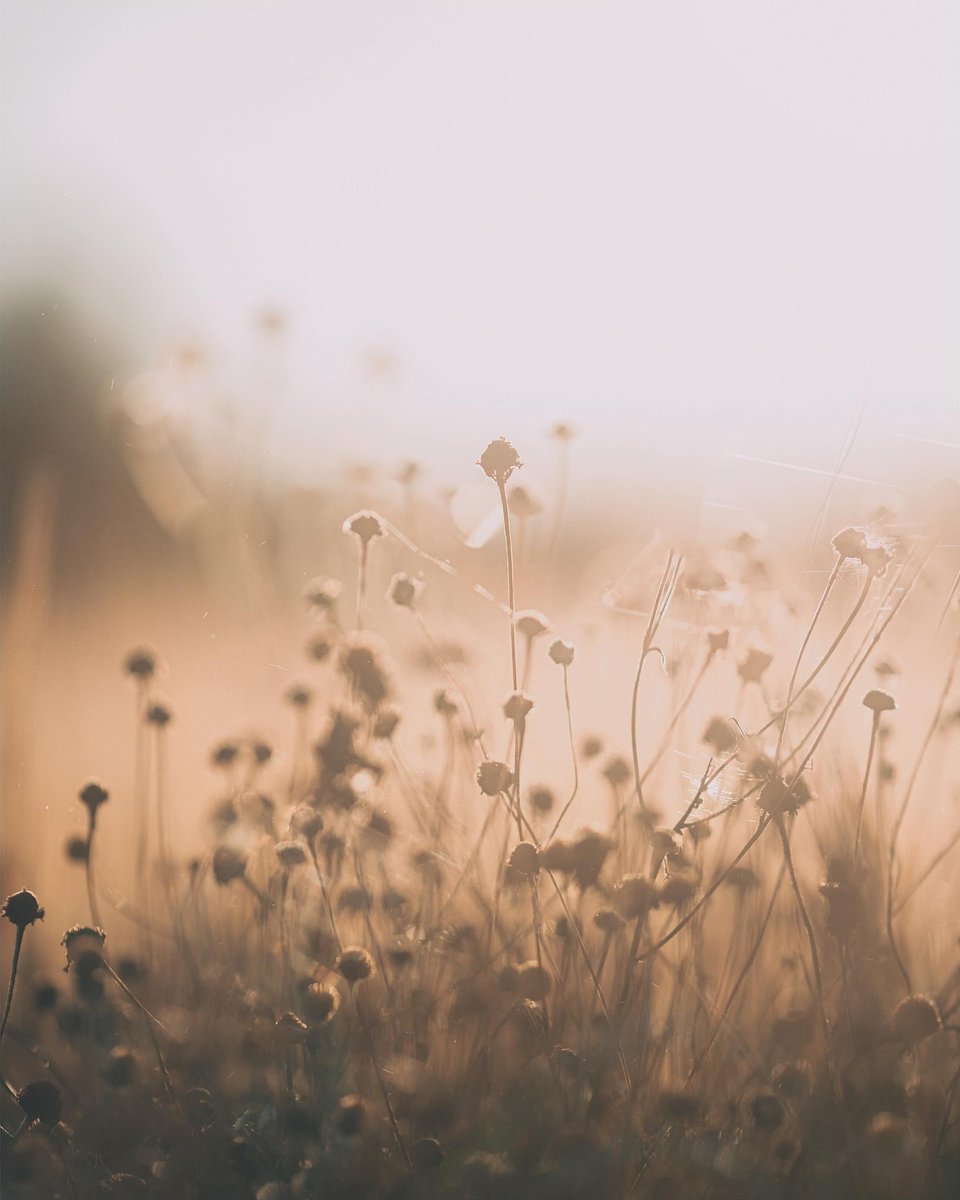 Monica AS tweet media