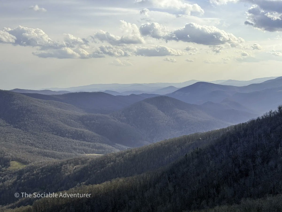 The Sociable Adventurer tweet media