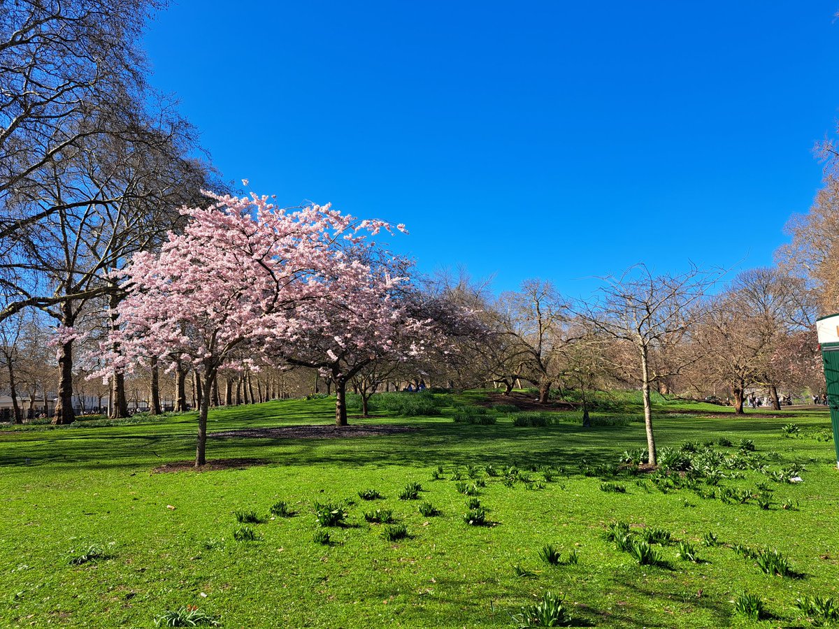 kerry bacon tweet media