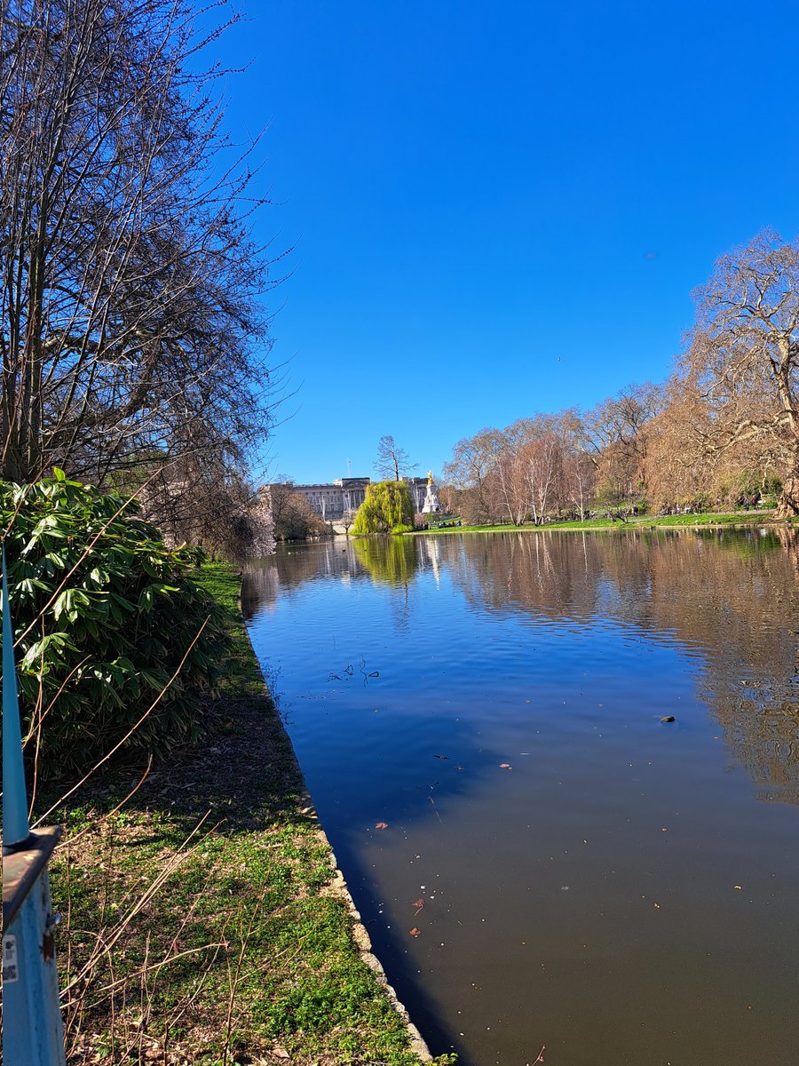 kerry bacon tweet media