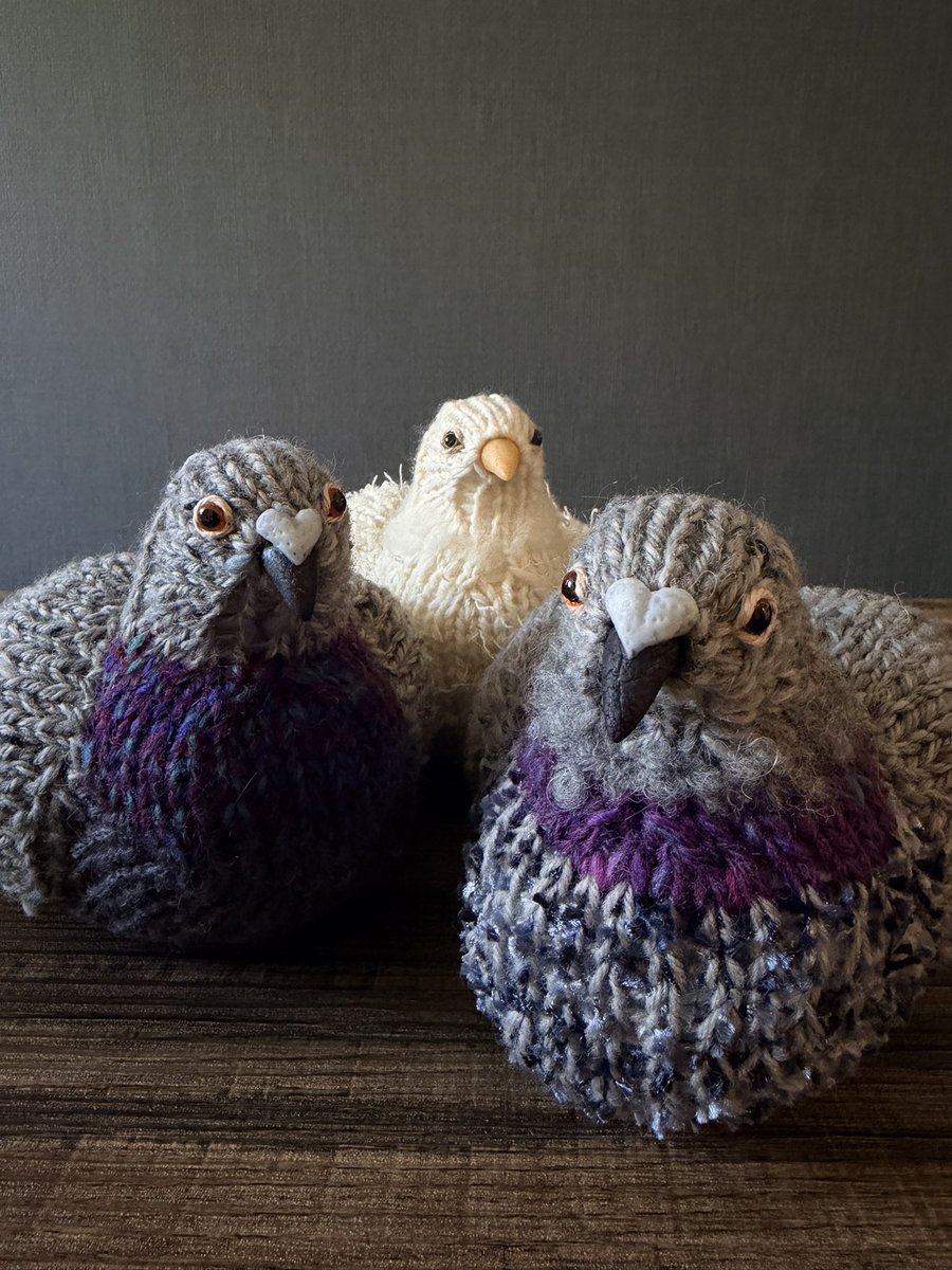 本田そるに tweet media