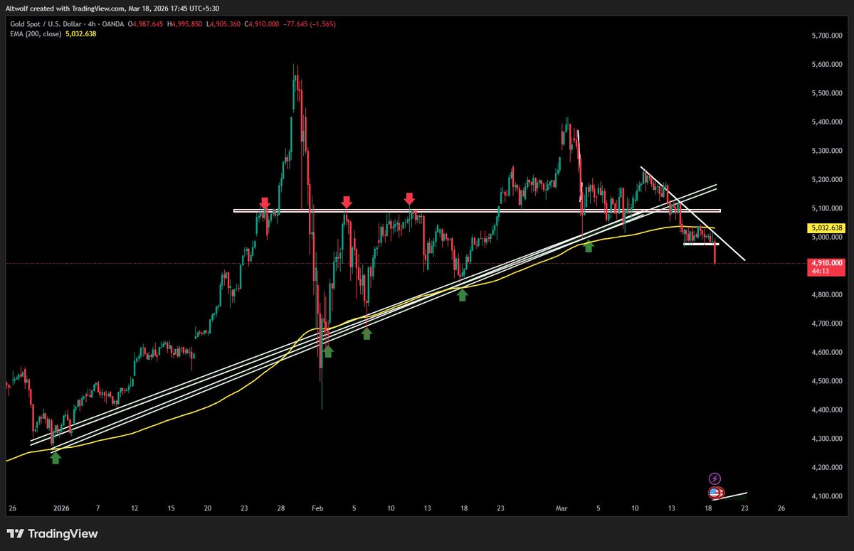 AltWolf🐺 tweet media