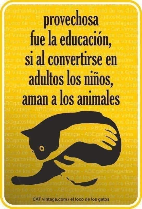ManuSaenzVolvio's tweet photo. Educa a tus hijos! https://t.co/0naOhwYkjX
