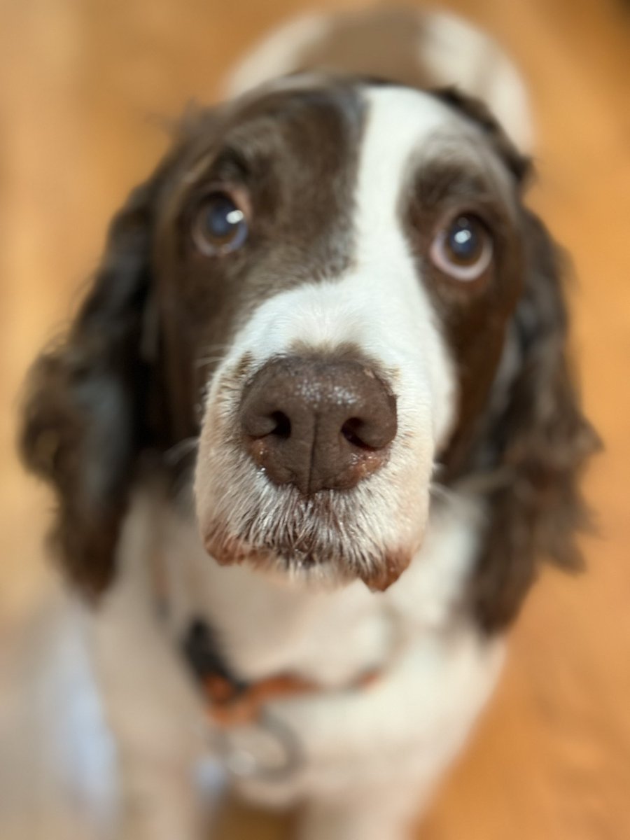 Jonah Goldberg tweet media