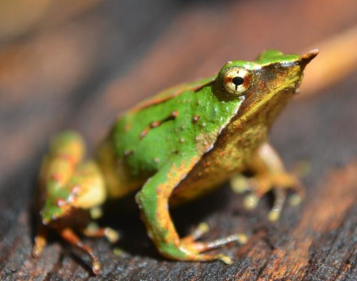 Sebastian R. tweet media