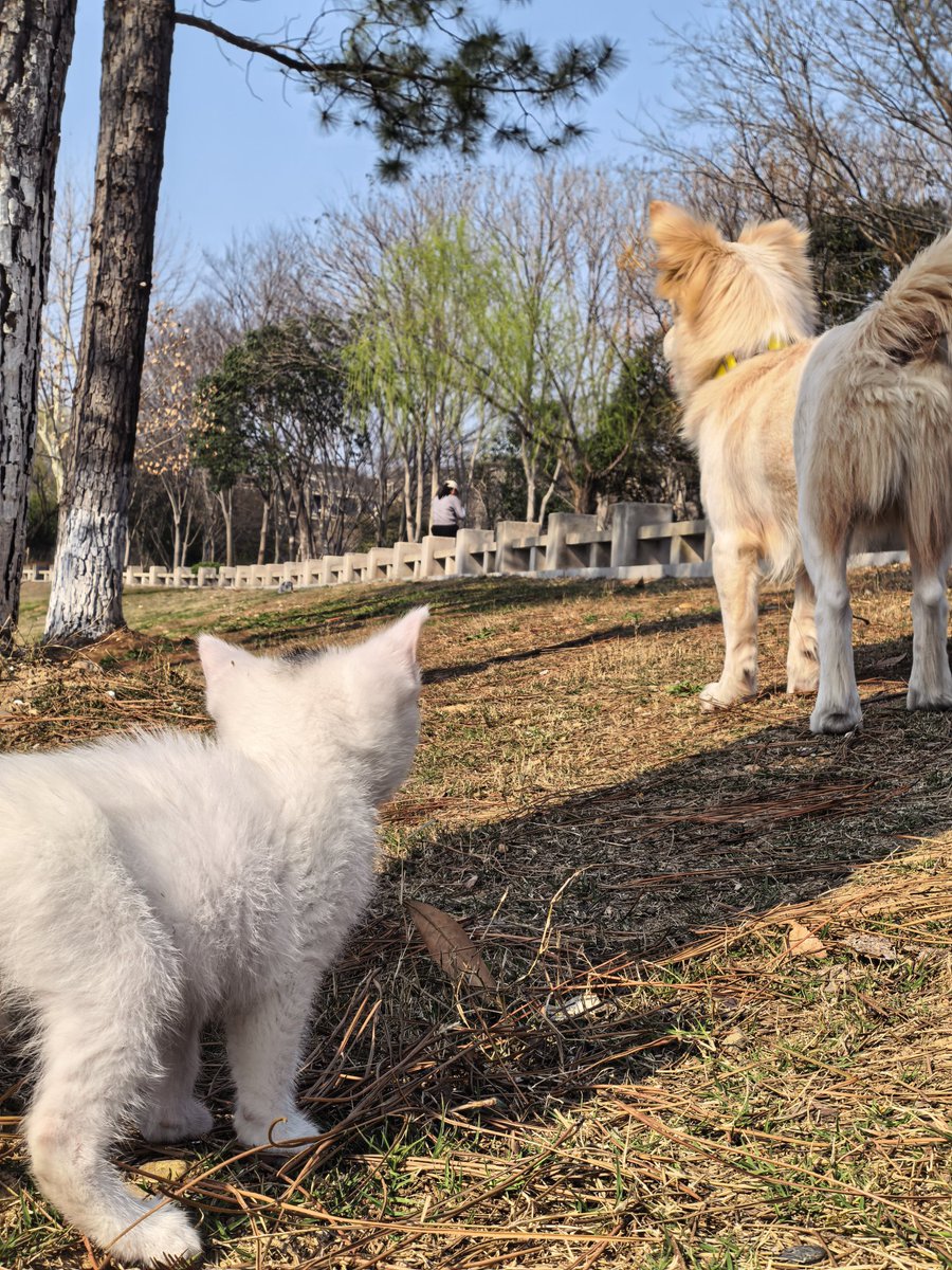 豆豆（互fo 100%回关） tweet media