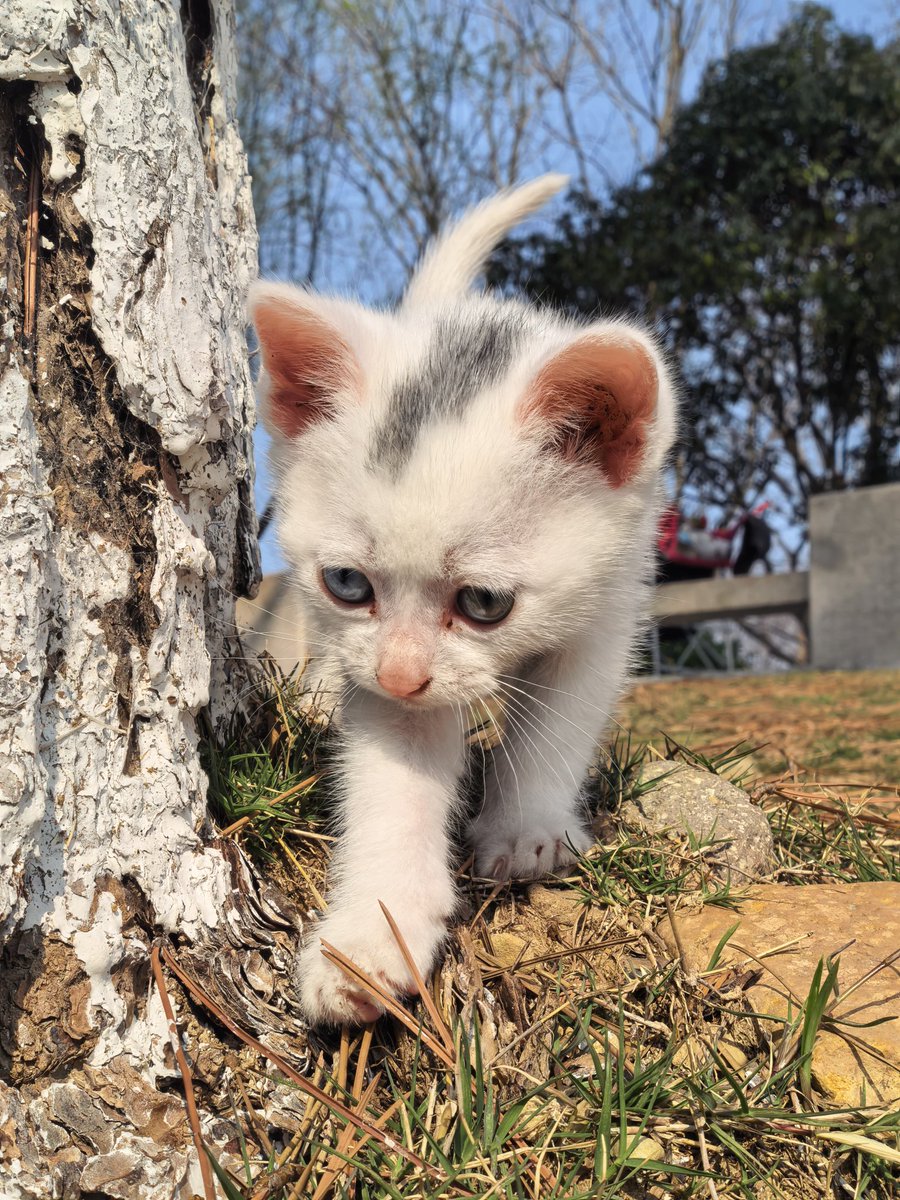 豆豆（互fo 100%回关） tweet media