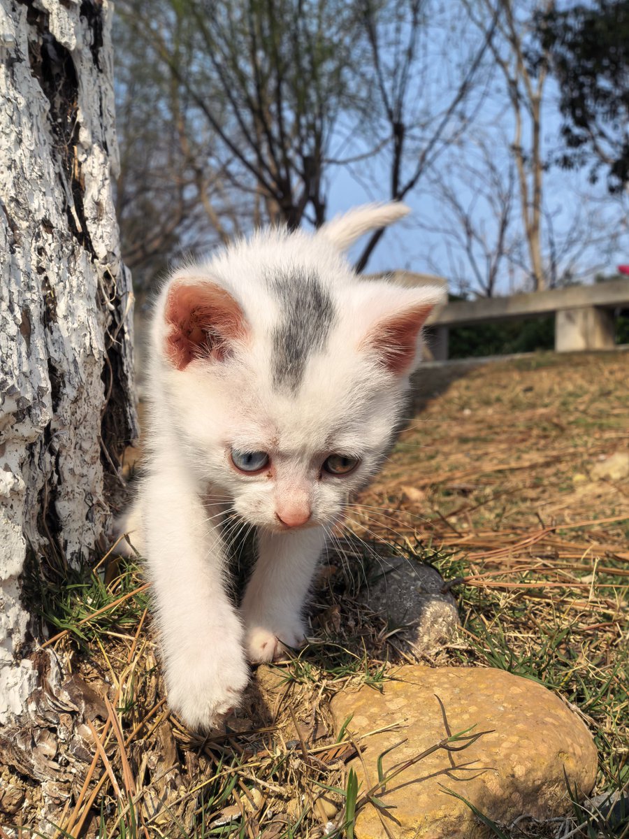 豆豆（互fo 100%回关） tweet media