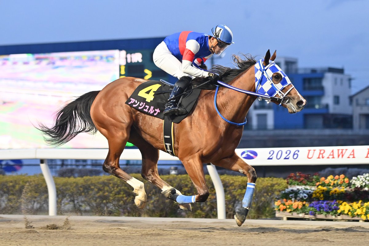 🐾てつ&ハク🐾🐴中村哲人🐱 tweet media