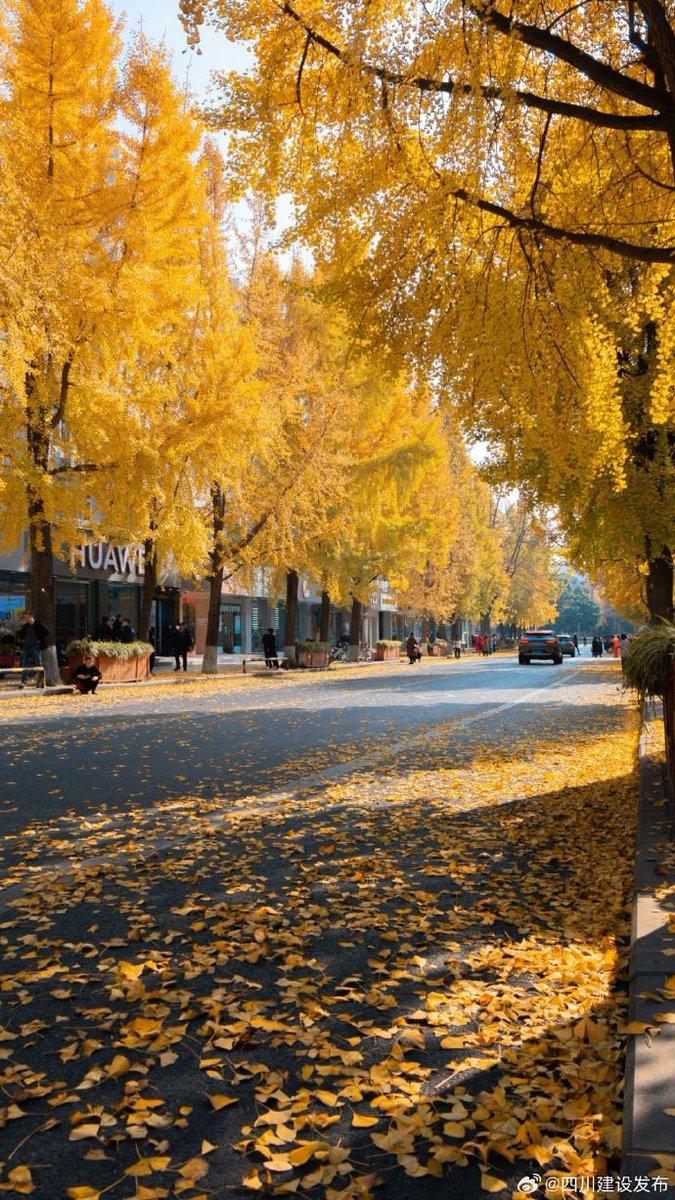 Ivan Esparza tweet media