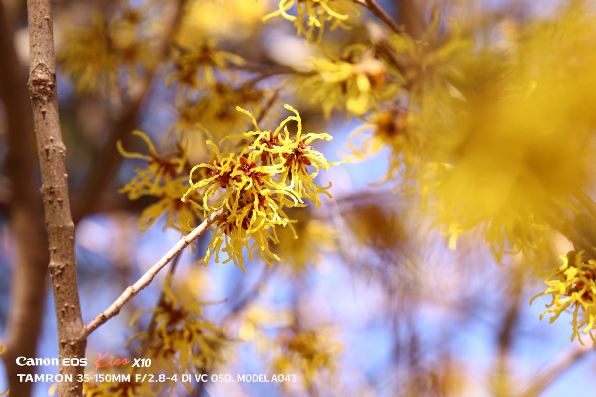 千葉タコス🌮 tweet media