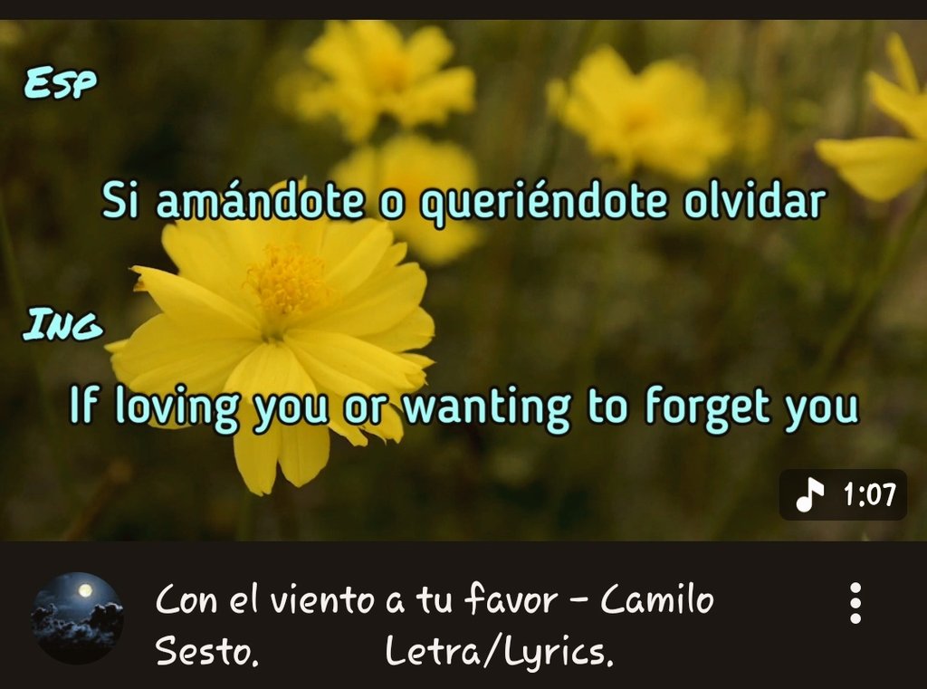 RaggysReSimp's tweet photo. I was listening to an old spanish song that fits doomed ribbitrabbit (especially fits jax's pov) pretty muuch i think so 🤔

Heres the song if you like to hear too :p
#ribbitrabbit #tadcjax #tadcribbit https://t.co/j4lQAiYj1A